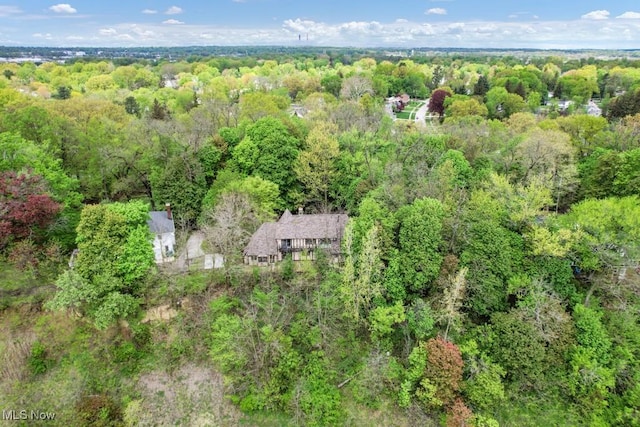 38038 Ridge Rd, Willoughby, OH 44094 - view of subject property featuring a heavily wooded area