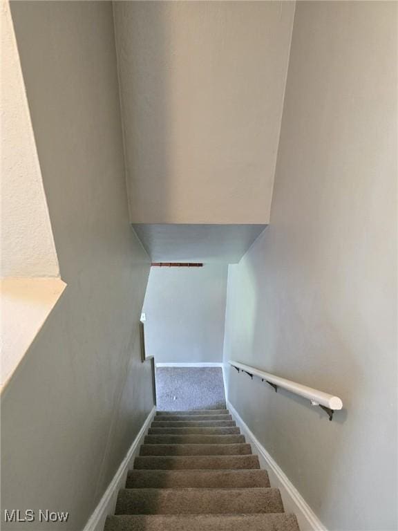481 Kenwood Dr Unit N, Euclid, OH 44123 - stairs featuring carpet floors and baseboards