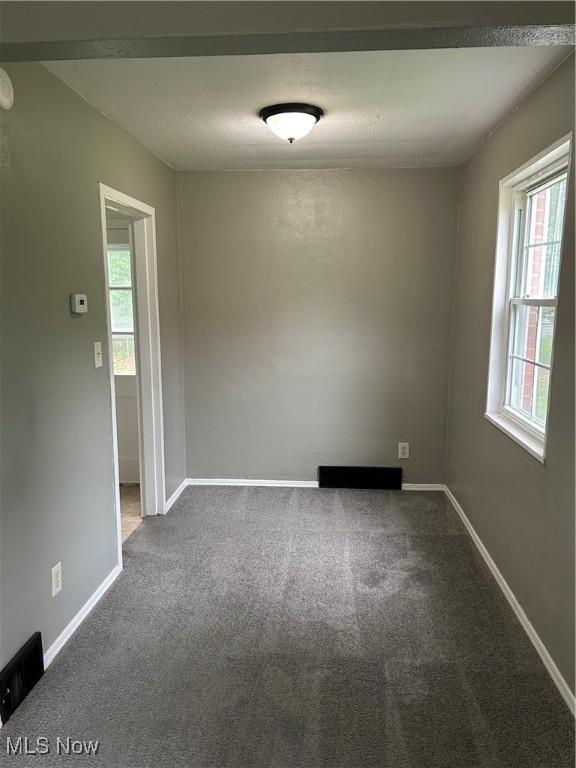481 Kenwood Dr Unit N, Euclid, OH 44123 - unfurnished room featuring healthy amount of natural light and carpet flooring