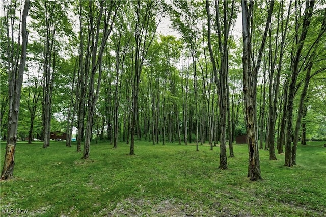 2269 N Fox N Rd, Hubbard, OH 44425 - view of local wilderness