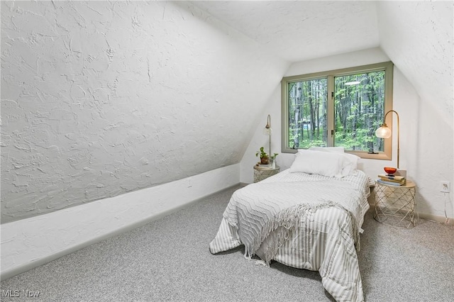 2269 N Fox N Rd, Hubbard, OH 44425 - bedroom with vaulted ceiling, carpet flooring, and a textured ceiling