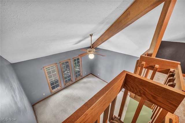 6869 Cliffside Dr, Vermilion, OH 44089 - stairs featuring a textured ceiling, ceiling fan, and carpet flooring