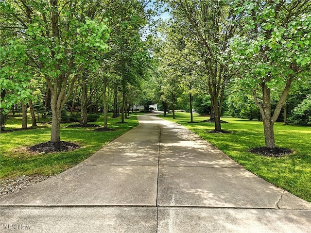 7734 Katie Dr, Wadsworth, OH 44281 - photo 50