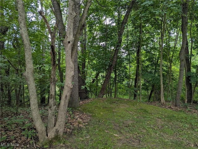 4562 Erie Ave NW, Canal Fulton, OH 44614 - view of wooded area