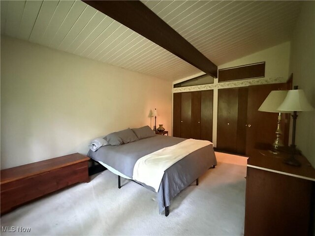 126 Stony Creek Dr, Millersburg, OH 44654 - bedroom featuring carpet floors and multiple closets