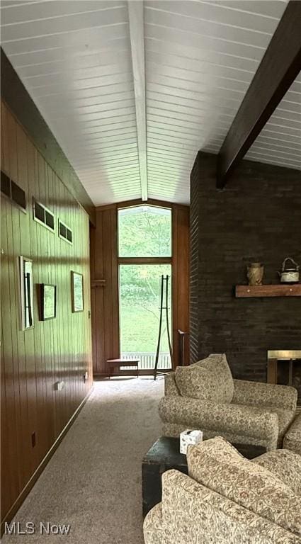 126 Stony Creek Dr, Millersburg, OH 44654 - living area featuring carpet flooring and wooden walls