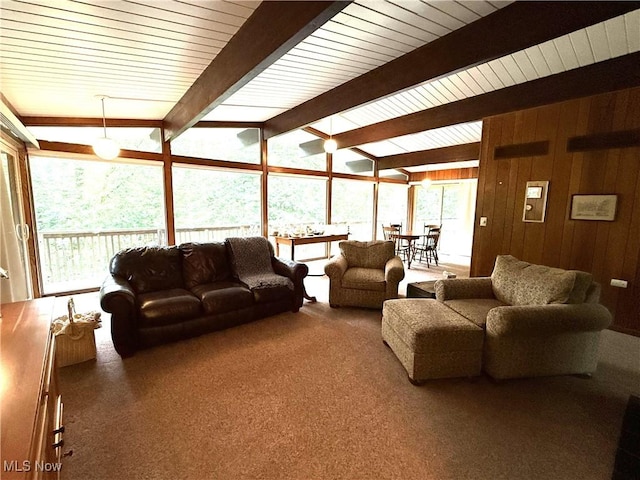 126 Stony Creek Dr, Millersburg, OH 44654 - living room with carpet flooring and wood walls