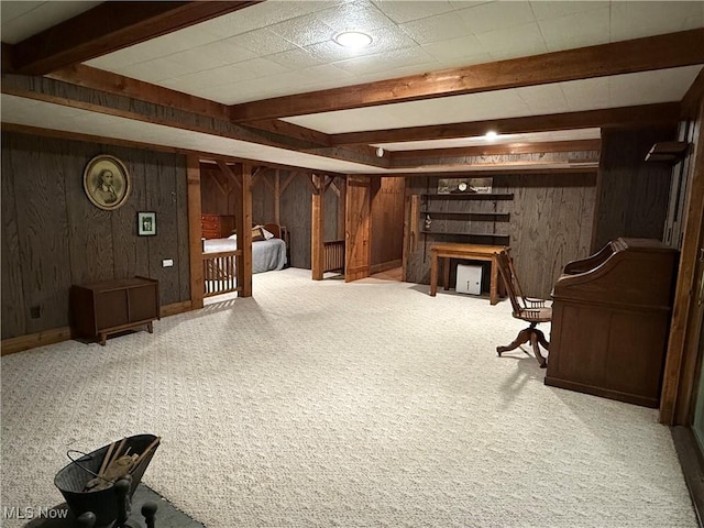 126 Stony Creek Dr, Millersburg, OH 44654 - finished below grade area featuring wooden walls and carpet