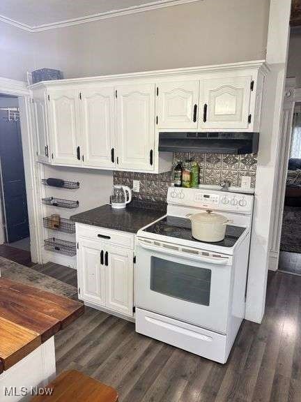 202 N Ray St, Baltic, OH 43804 - kitchen featuring white electric range oven, white cabinets, under cabinet range hood, and crown molding