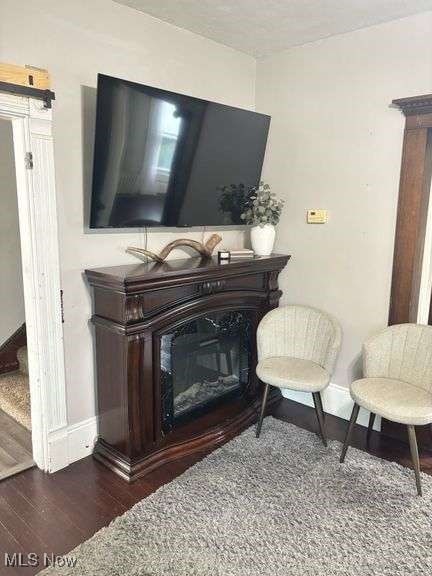 202 N Ray St, Baltic, OH 43804 - detailed view of wood finished floors and a glass covered fireplace