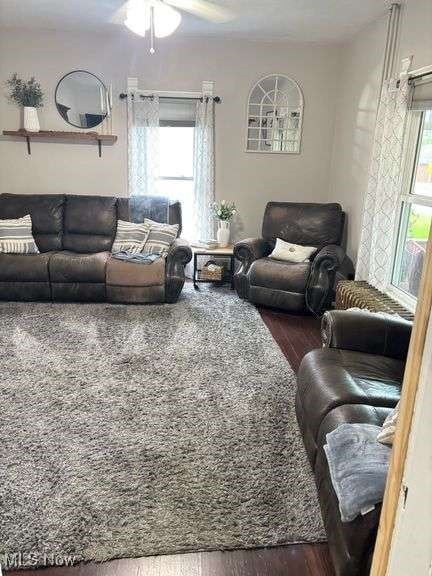 202 N Ray St, Baltic, OH 43804 - living room with wood finished floors and a ceiling fan