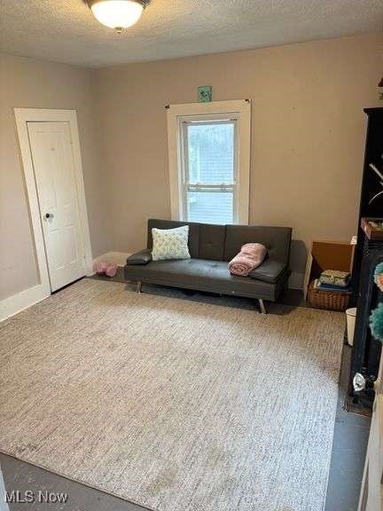 202 N Ray St, Baltic, OH 43804 - living room featuring a textured ceiling and baseboards