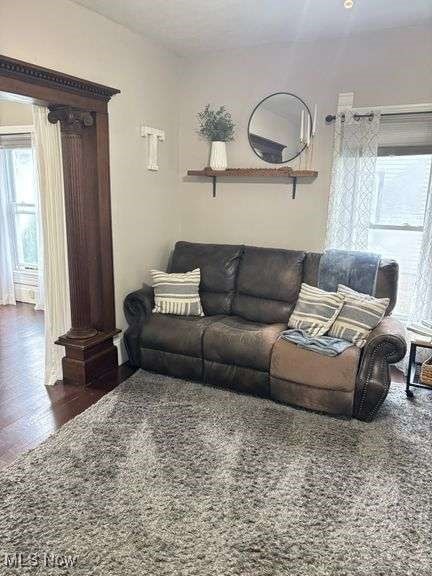 202 N Ray St, Baltic, OH 43804 - living room with plenty of natural light and dark wood finished floors