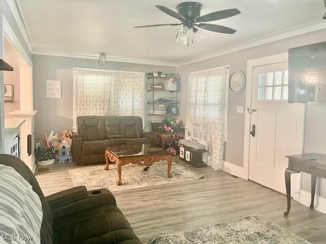 127 William St, Struthers, OH 44471 - living room featuring ceiling fan, crown molding, and wood finished floors