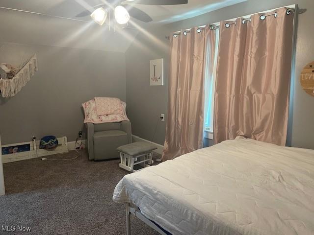 127 William St, Struthers, OH 44471 - carpeted bedroom with ceiling fan