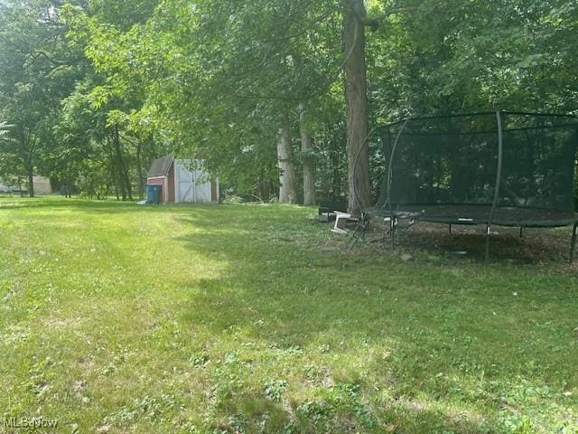 127 William St, Struthers, OH 44471 - view of green lawn featuring a trampoline and a storage shed