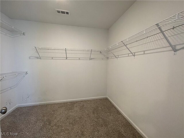 8988 Leatherleaf Dr, Columbia Station, OH 44028 - photo 20