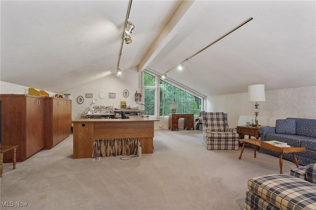 680-7 Windward Dr, Aurora, OH 44202 - office area featuring rail lighting and light colored carpet
