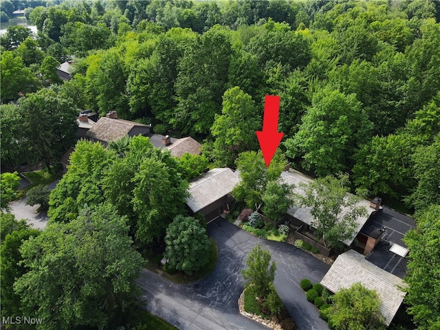 680-7 Windward Dr, Aurora, OH 44202 - bird's eye view of a forest