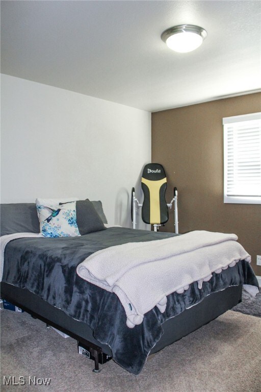 6221 Gault Rd, Canfield, OH 44406 - bedroom featuring carpet
