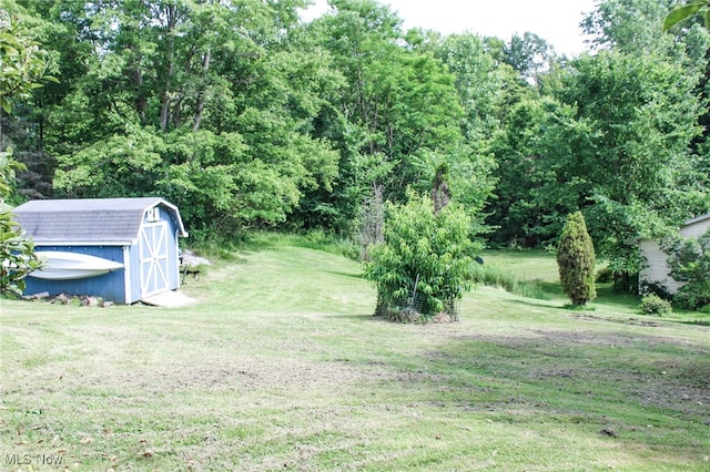 6221 Gault Rd, Canfield, OH 44406 - photo 19