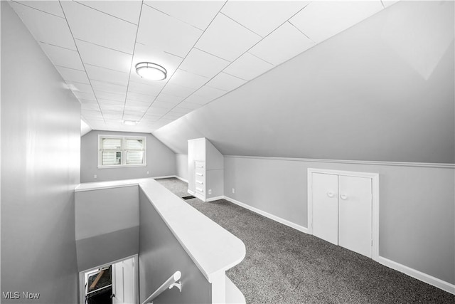 2405 Harding Rd, Cuyahoga Falls, OH 44223 - additional living space with carpet floors and lofted ceiling