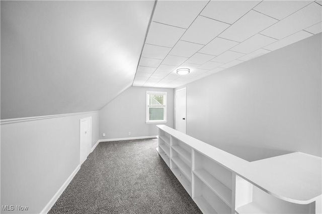2405 Harding Rd, Cuyahoga Falls, OH 44223 - bonus room with carpet flooring and lofted ceiling