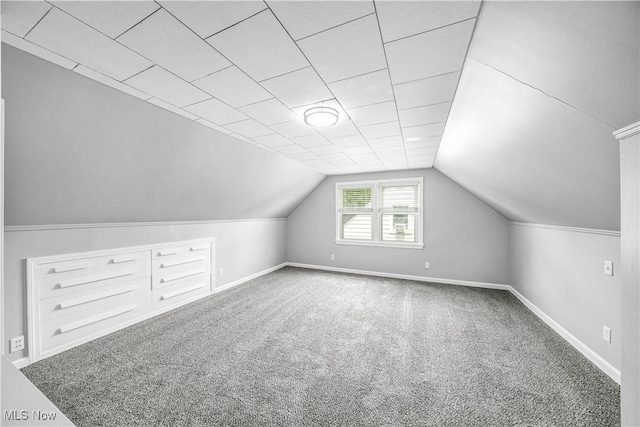 2405 Harding Rd, Cuyahoga Falls, OH 44223 - additional living space with carpet flooring and lofted ceiling