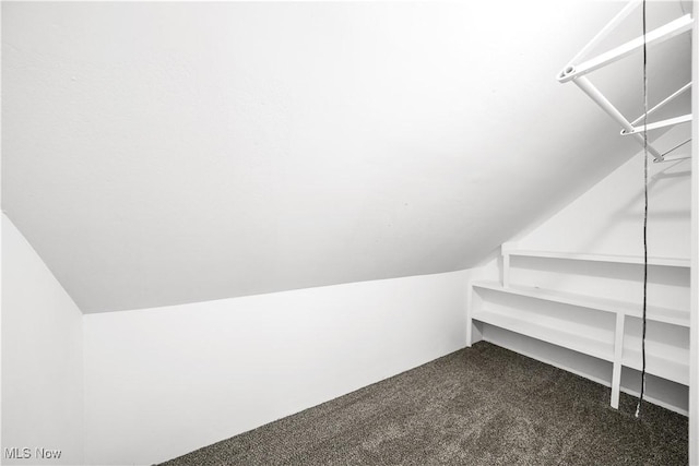 2405 Harding Rd, Cuyahoga Falls, OH 44223 - spacious closet with carpet and vaulted ceiling