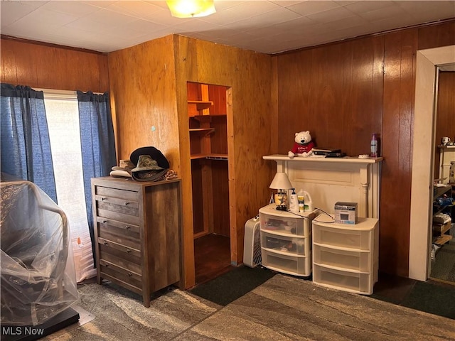1209 Camden Ave, Parkersburg, WV 26101 - miscellaneous room with carpet flooring and wood walls