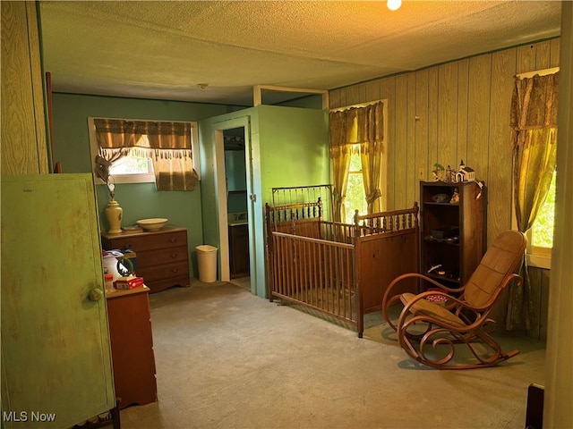 1209 Camden Ave, Parkersburg, WV 26101 - sitting room with carpet floors and a textured ceiling