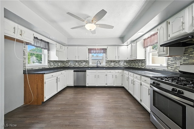 77 W Park Ave, Hubbard, OH 44425 - kitchen with appliances with stainless steel finishes, under cabinet range hood, dark countertops, and plenty of natural light