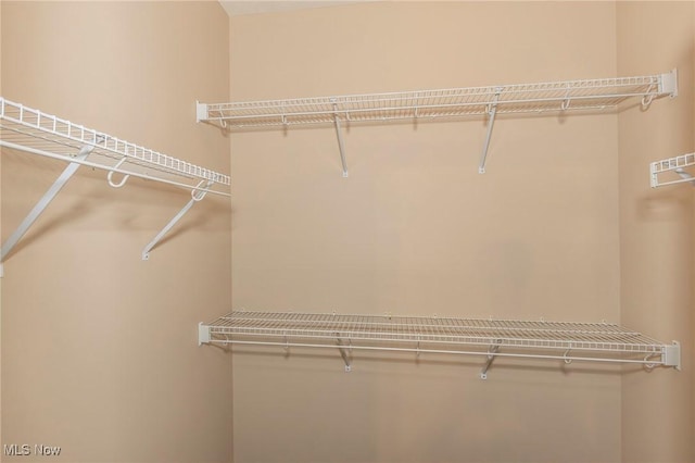 101 Stonegate Cir, Seven Hills, OH 44131 - view of walk in closet