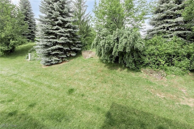 101 Stonegate Cir, Seven Hills, OH 44131 - view of green lawn