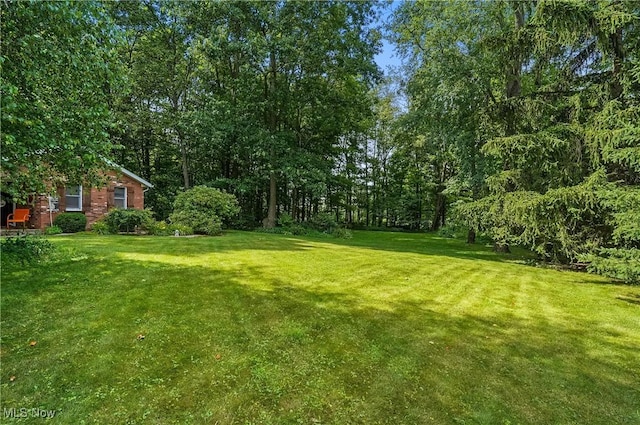2355 N Lincoln Ave, Salem, OH 44460 - photo 45
