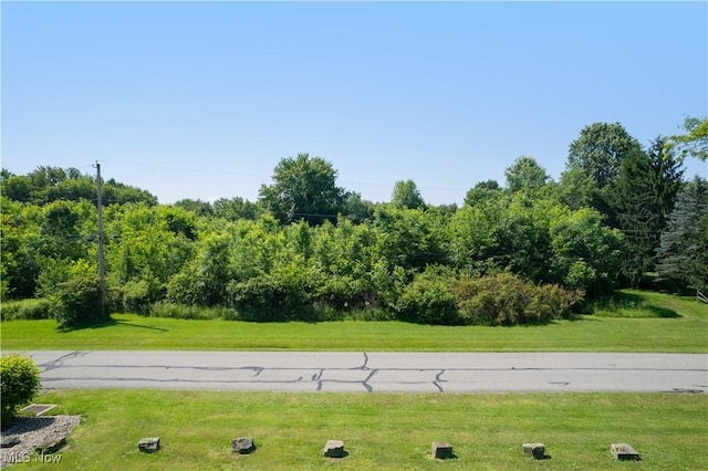 Mcconnell E Rd, Southington, OH 44470 - photo 4