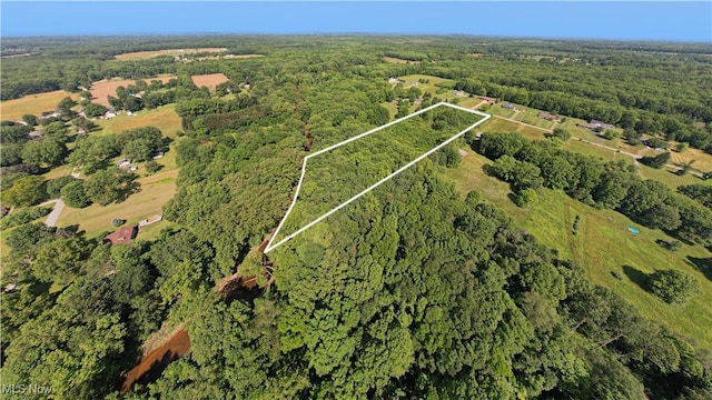 Mcconnell E Rd, Southington, OH 44470 - photo 5
