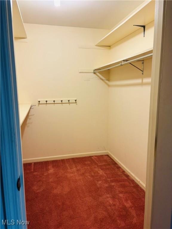 224 N Hills Dr, Parkersburg, WV 26104 - walk in closet featuring carpet floors