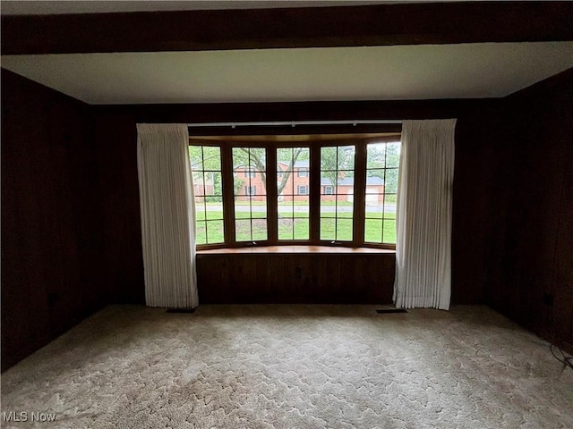 224 N Hills Dr, Parkersburg, WV 26104 - carpeted empty room with wooden walls