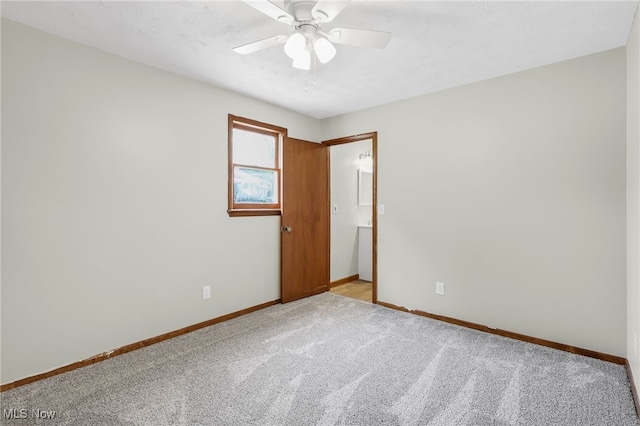 131 Stebbins St, Creston, OH 44217 - photo 21