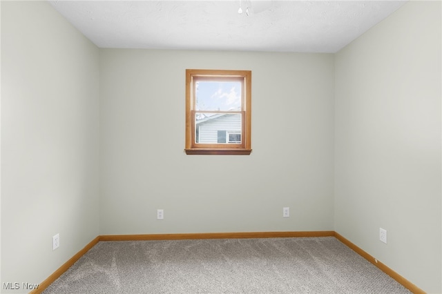 131 Stebbins St, Creston, OH 44217 - photo 30