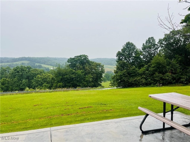 91070 Kilgore Ridge Rd, Scio, OH 43988 - view of green lawn with a rural view