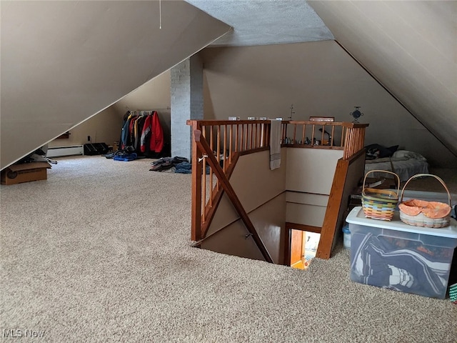 7 W Main St, Savannah, OH 44874 - bonus room featuring carpet floors, vaulted ceiling, and baseboard heating