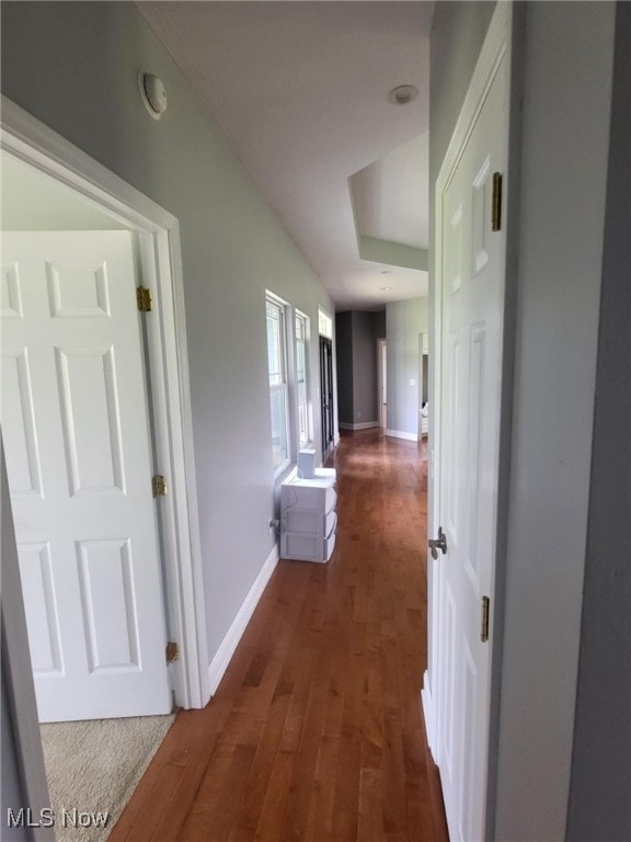 54856 Winding Hill Rd, Bellaire, OH 43906 - hallway with dark wood-style flooring and baseboards