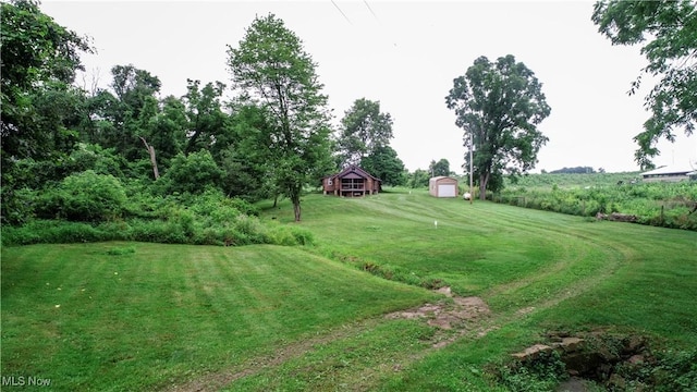 1917 Township Road 26, Killbuck, OH 44637 - view of green lawn with a shed