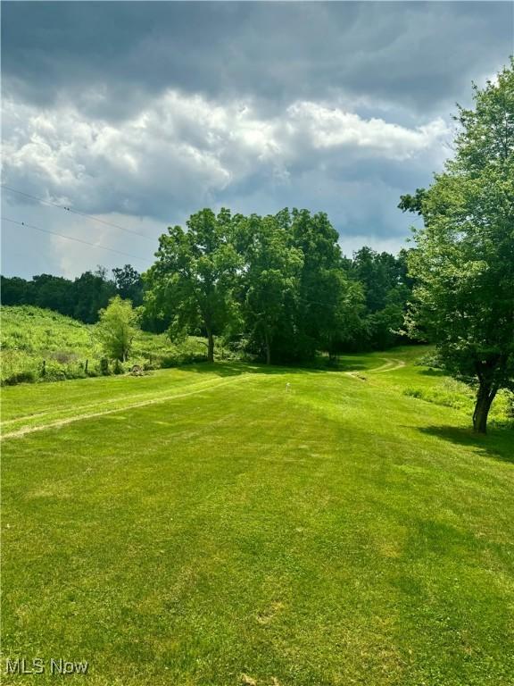1917 Township Road 26, Killbuck, OH 44637 - surrounding community featuring a lawn