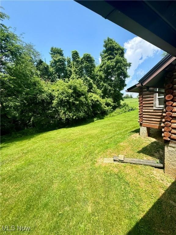 1917 Township Road 26, Killbuck, OH 44637 - view of green lawn