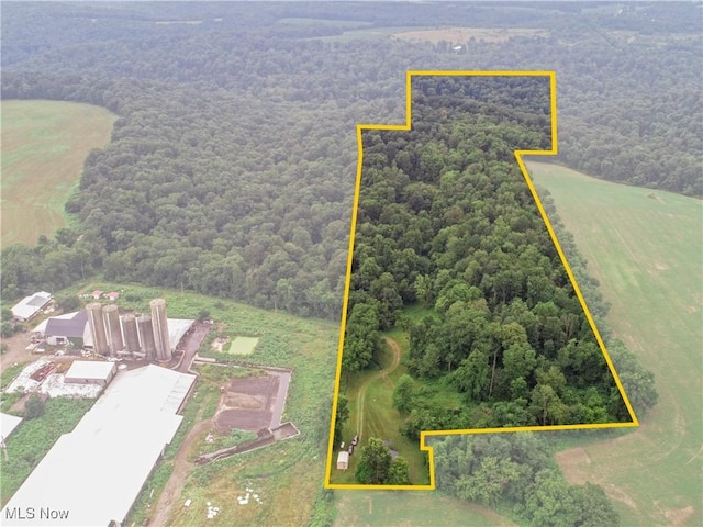 1917 Township Road 26, Killbuck, OH 44637 - aerial view of property's location featuring a heavily wooded area and property boundaries highlighted