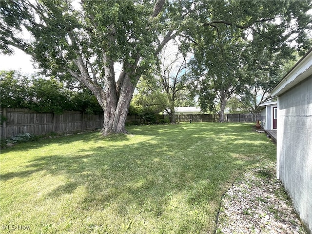 285 Willow Ln, Berea, OH 44017 - photo 24