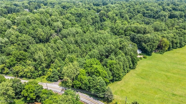 20765 Quarry Rd, Wellington, OH 44090 - photo 50